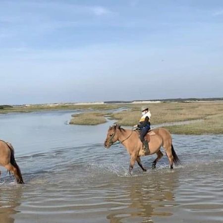 Fort-Mahon : Superbe T2 A 2 Pas De La Plage Avec Parking Prive - Fr-1-482-15 外观 照片